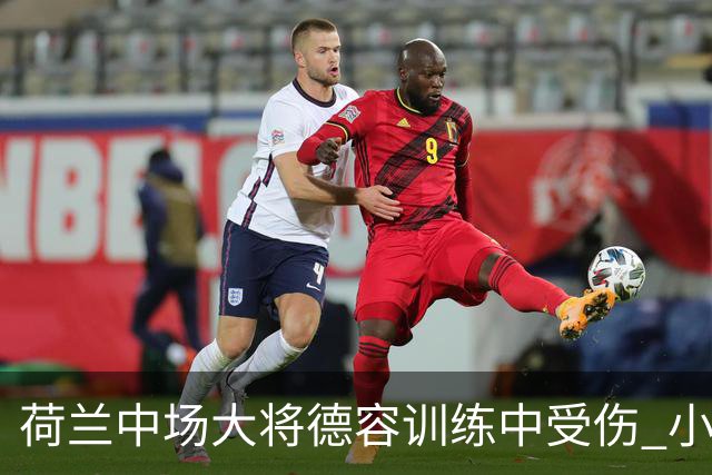 荷兰中场大将德容训练中受伤 小组赛次轮出战成疑